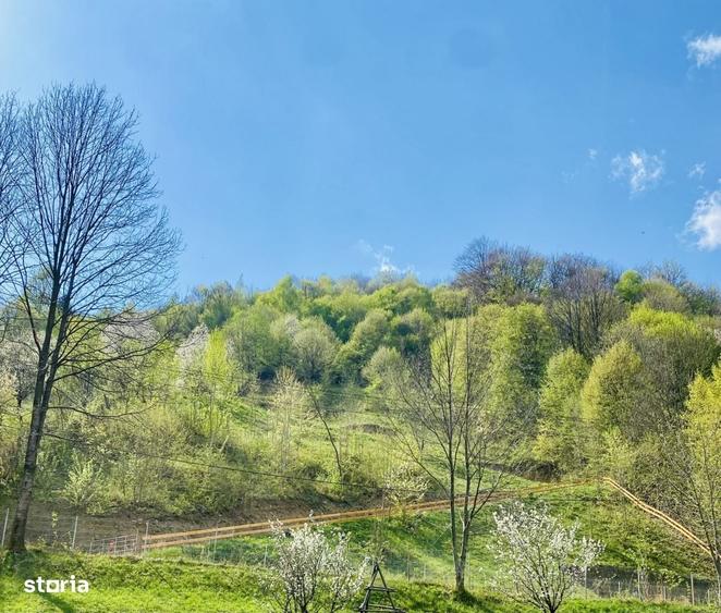 Teren vedere panoramica lac Paltinu si dealuri impadurite in Valea Dof - 4
