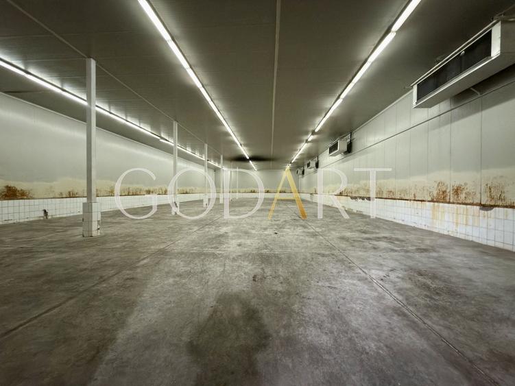 Spațiu industrial, de 1,000 mp, în Central
