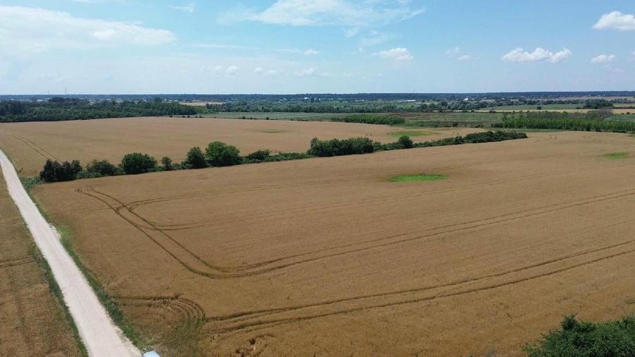 Teren agricol intravilan de 200000 mp, în Ciolpani