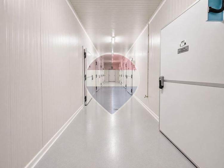 Spațiu industrial, de 501.82998657227 mp, în Mihai Viteazu