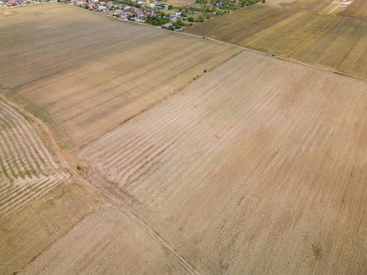 Teren Construcții intravilan de 7500 mp, în Dascălu