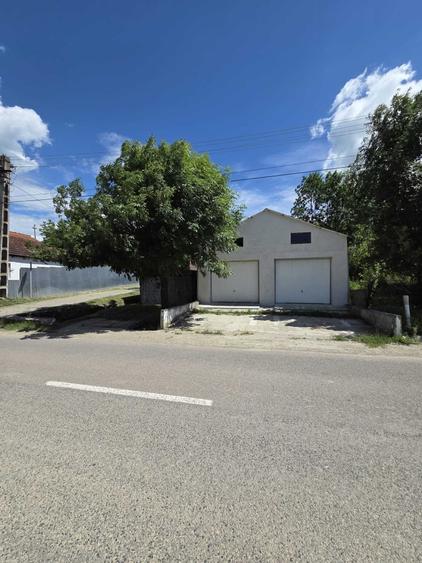 Spațiu comercial, de 120 mp, în Trestia