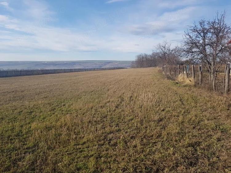 Teren de 5000 mp, în Schitu Hadâmbului