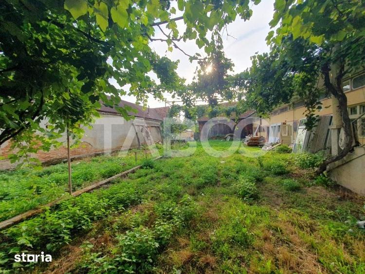 Casa de vanzare in Mandra 140 mp utili curte sura anexe 3 beciuri - 2