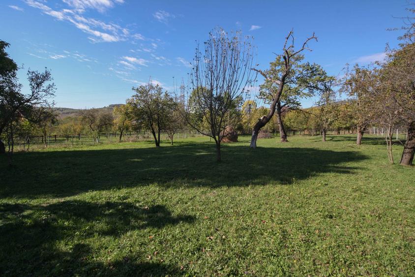 Teren agricol intravilan de 3852 mp, în Poiana