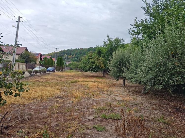 Spațiu comercial, în Valea Mare