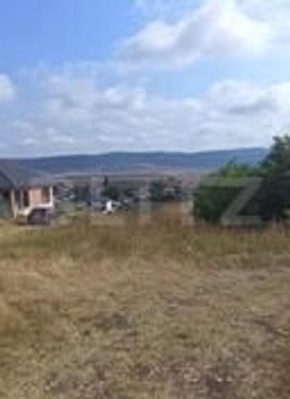 Teren Construcții intravilan de 2358 mp, în Luna