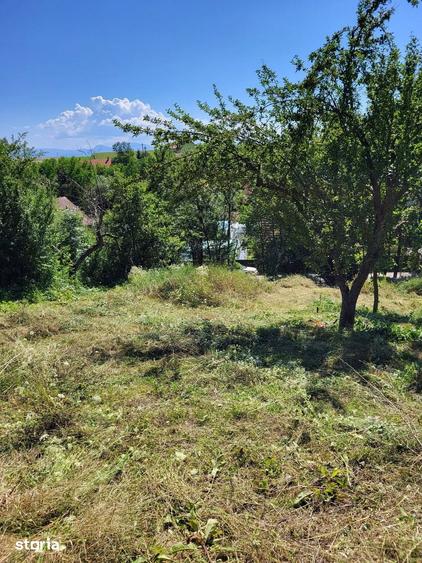 Teren de 1500 mp, în Ilieni