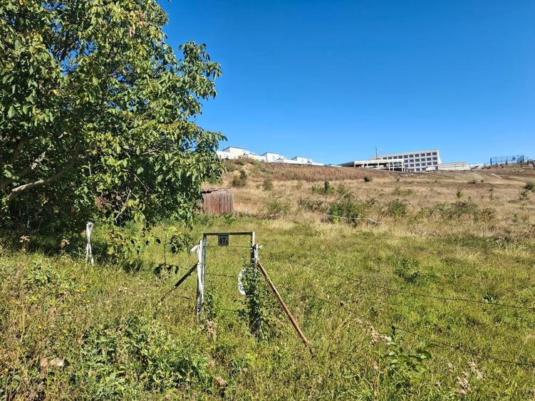 Teren Construcții intravilan de 887 mp, în Gheorgheni