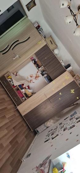 Apartament cu 3 camere decomandat, mobilat în Lipovei