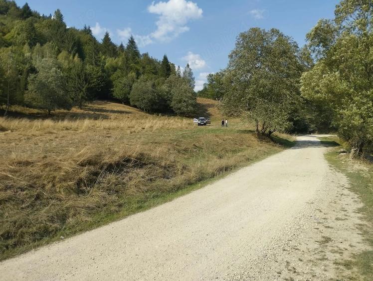 Vanzare teren - zona Plaiul Foii, Zarne?ti - 4