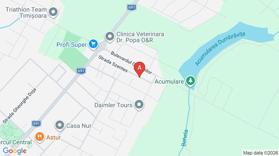 Casă individuală cu 4 camere cu Canalizare în Dumbrăvița