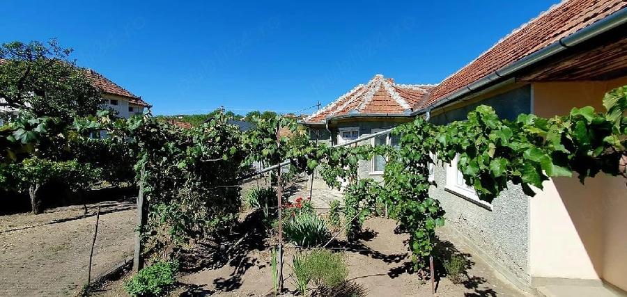 Casa cu gradina de 4000 mp in Carastelec - 7