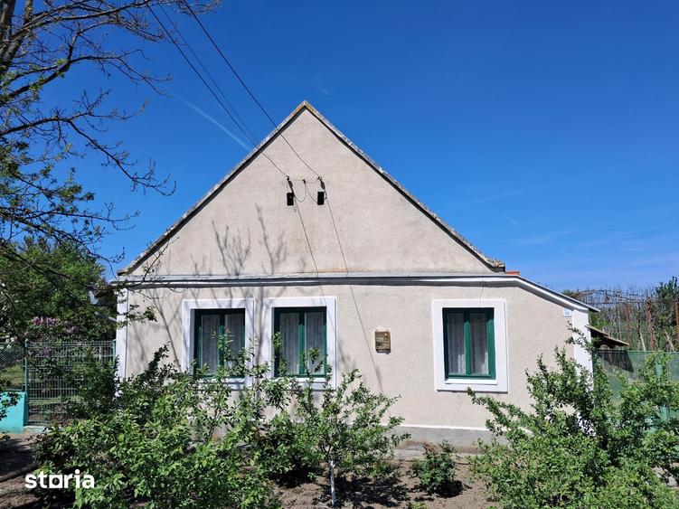 Valcani, proprietate cu casa taraneasca - 10