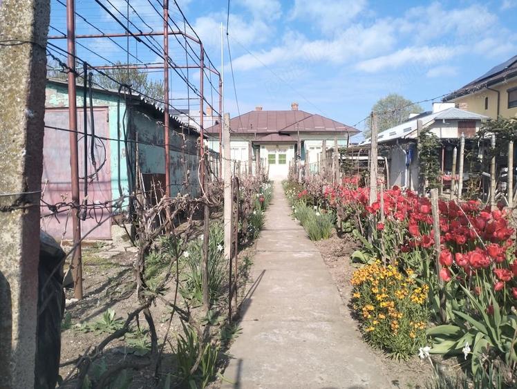 Casă cu Teren 800 Mp în Central