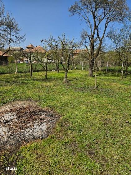 Casă cu 3 camere în Ceanu Mic