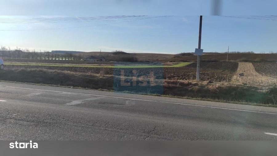 Teren de 7800 mp, în Livada