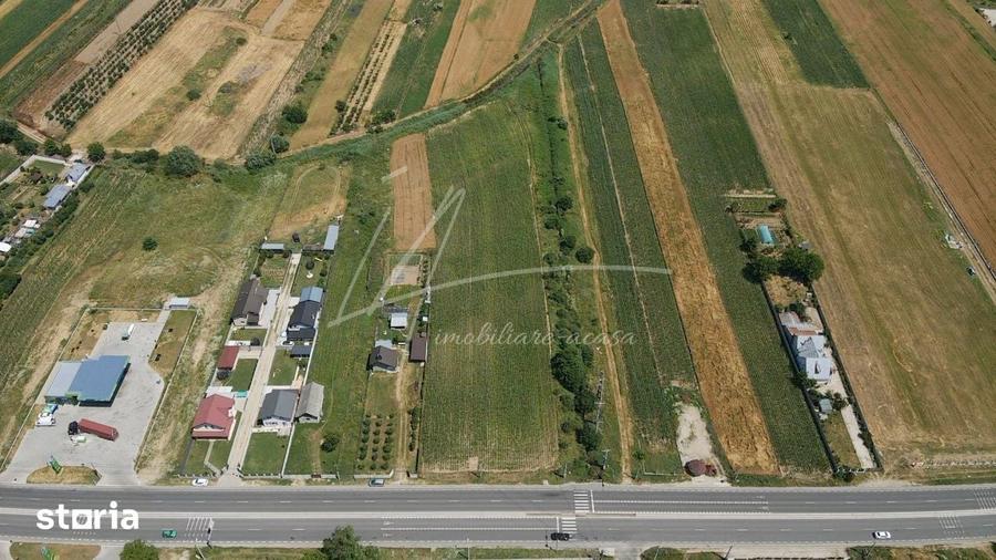 Teren cu potential de dezvoltare 7427 mp in Argeselu, Maracineni, j - 3