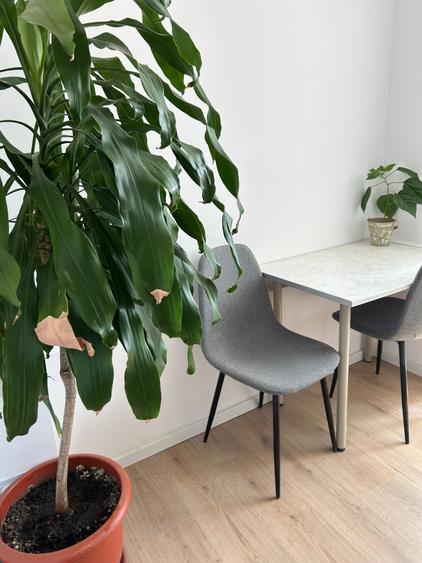 Apartament cu 2 camere decomandat în Romană