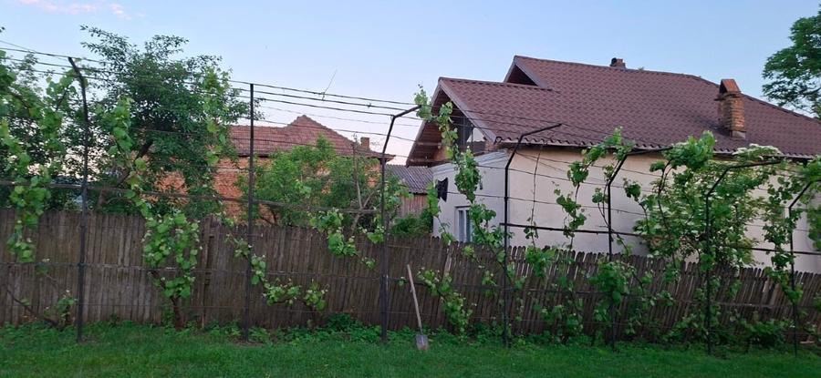 Casă individuală cu 5 camere cu Teren 1997 Mp în Coșești