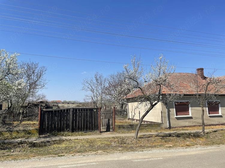 Casă cu Teren 1436 Mp în Tăut