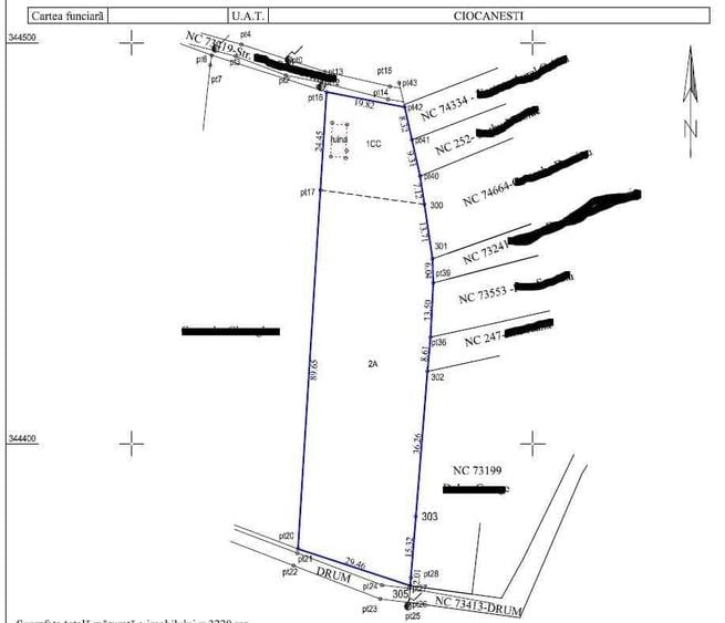 Oportunitate Unica! Teren 3.200 mp in Decindea (Ciocanesti, DB) lac pentru pescuit la 5 minute de mers pe jos,deschidere la 2 drumuri (asfalt) - 2