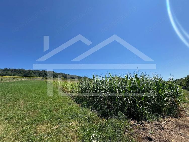 Teren, 1734mp, intravilan, zona Remetea - 1
