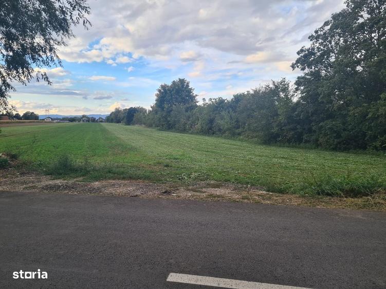Teren intravilan-zona excelenta-strada Surlasului. - 1