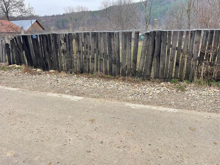 Teren în Câmpuri