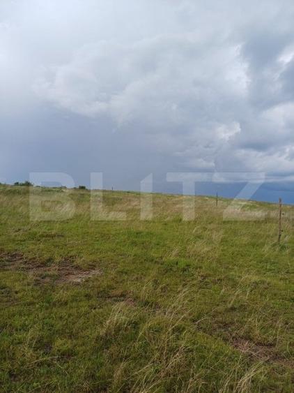 Teren agricol extravilan de 1248 mp, în Copăceni