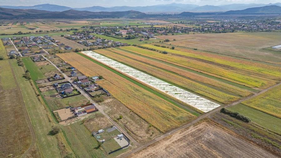 Teren Construcții intravilan de 15000 mp, în Bod