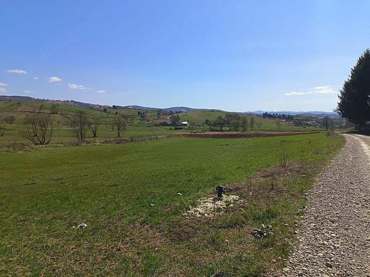 Teren de 2425 mp, în Barcani