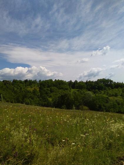 Teren de 3600 mp, în Aluniș