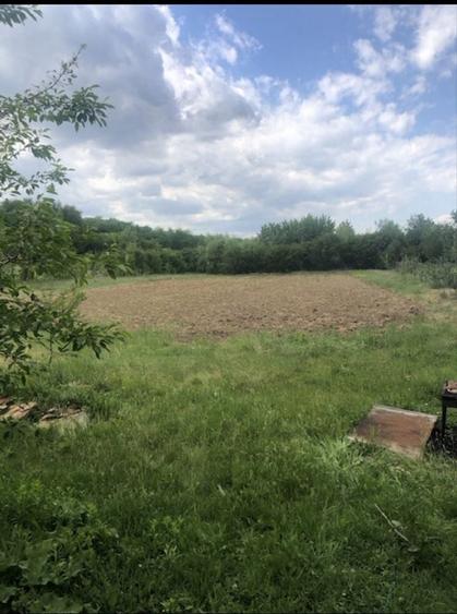 Casă cu 4 camere în Vânătorii Mici