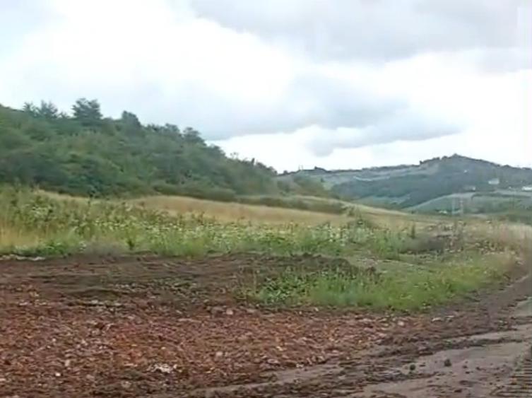 Teren agricol extravilan de 1000 mp, în Gușterița