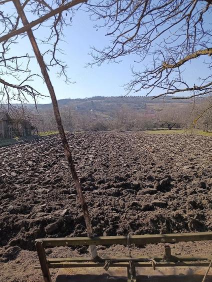 Vand teren intravilan comuna Bor?a, Cluj - 3