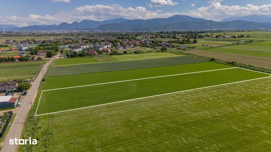 Teren de 9300 mp, în Stupini