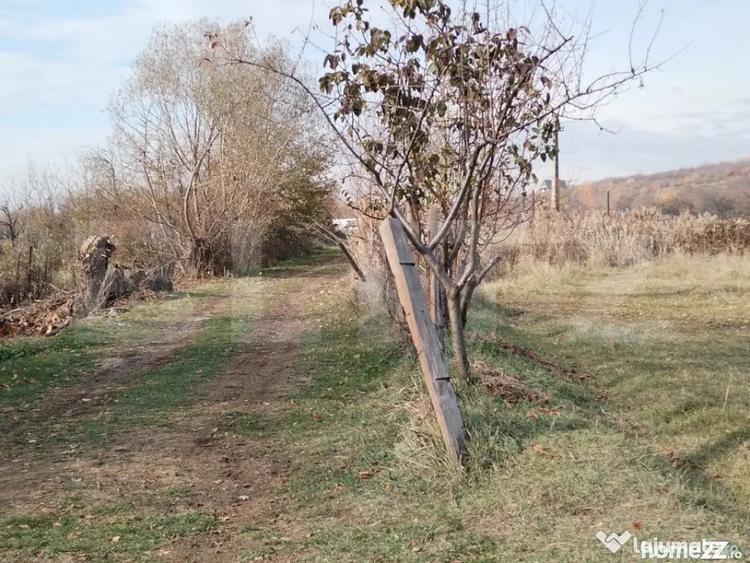 Teren de 3360 mp, în Aninoasa