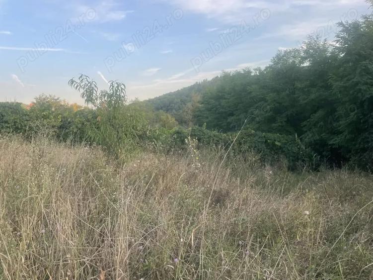 Casă cu 2 camere în Ormeniș