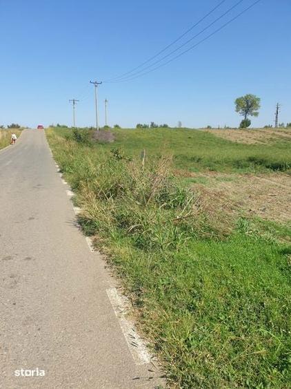 Vand teren intravilan in Buzau, aproape de oras si autostrada - 2