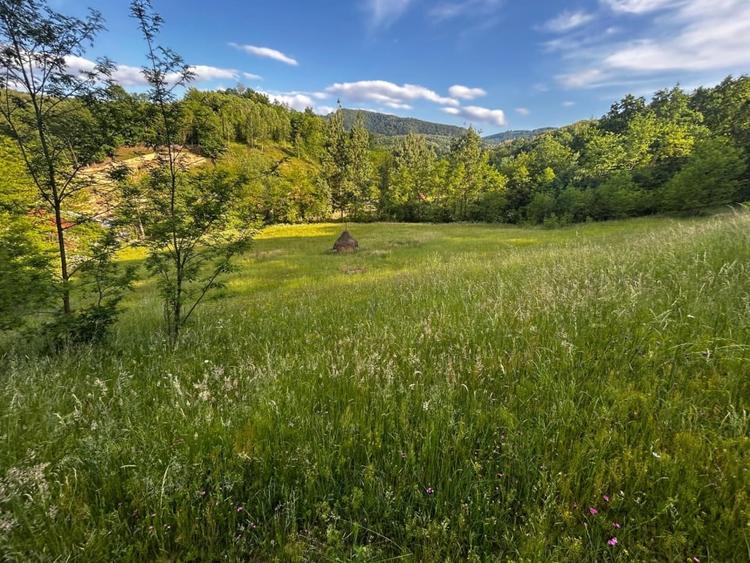 Teren agricol intravilan de 12259 mp, în Galați