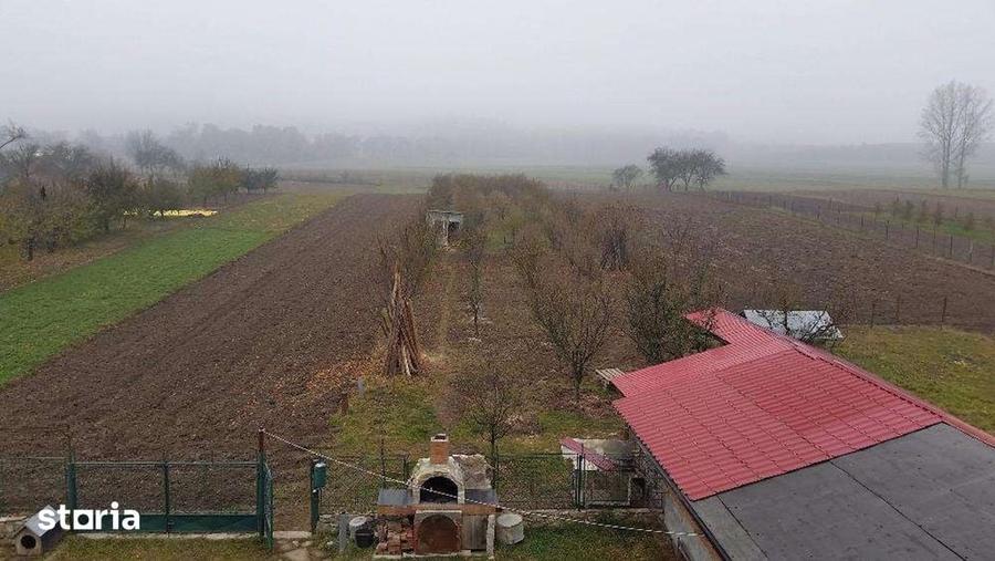 Casă cu Teren 1700 Mp în Mitocu Dragomirnei