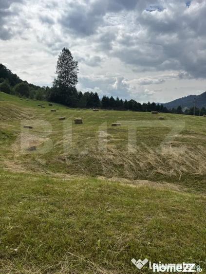 Teren intravilan, Buc?oaia - Frasin, 9000 mp - 10