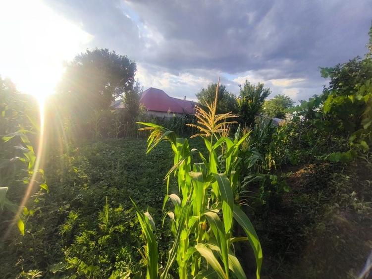 Casă cu 3 camere în Zorleni