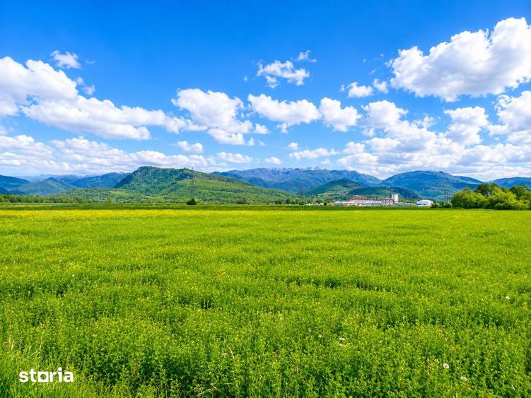 Teren de 2800 mp, în Turnu Roșu