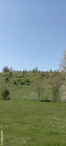 Teren în Gușoeni