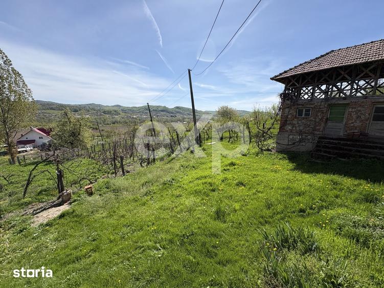 Teren de 14613 mp, în Tigveni