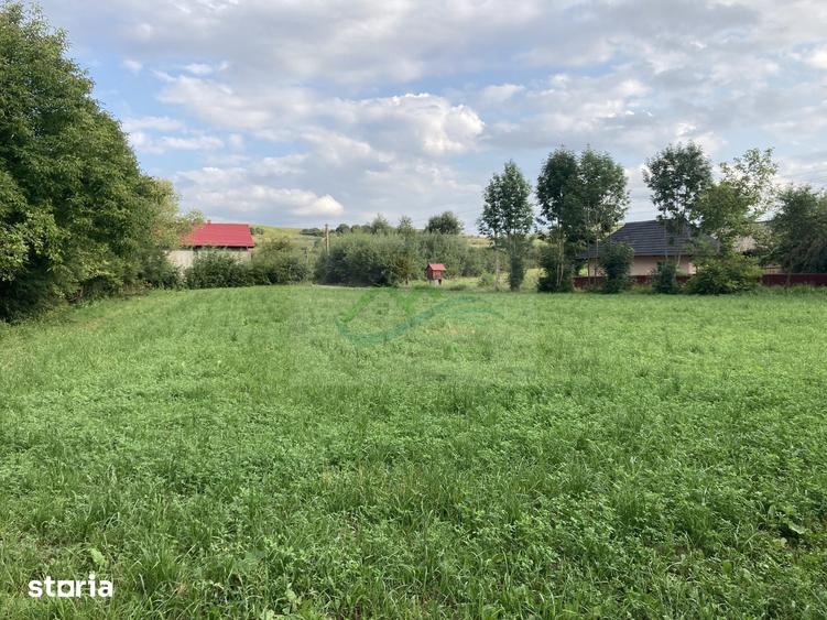 Teren Intravilan 3200 mp de vanzare - 3