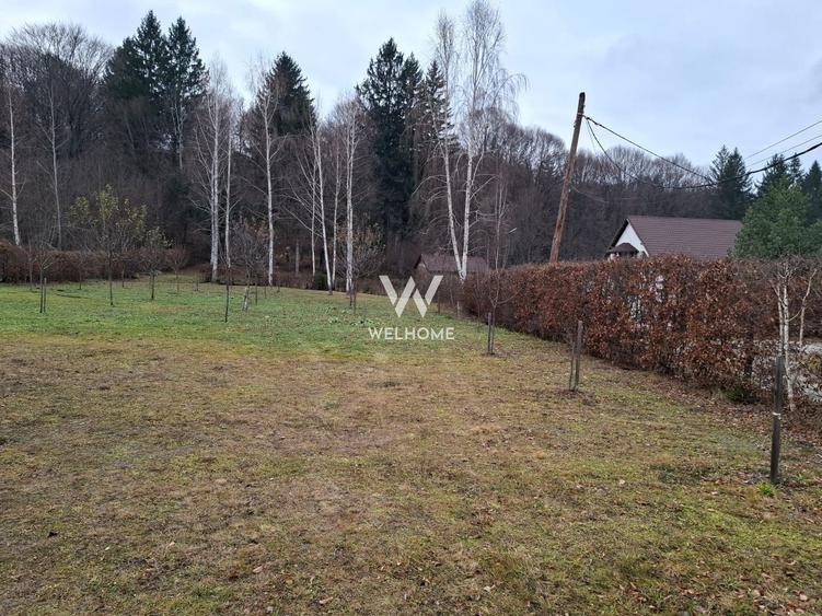 Teren Construcții intravilan de 2000 mp, în Sud-Vest