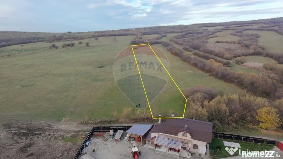 Teren de 5800 mp, în Purcăreni